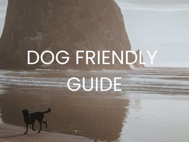 Cannon Beach Dog friendly